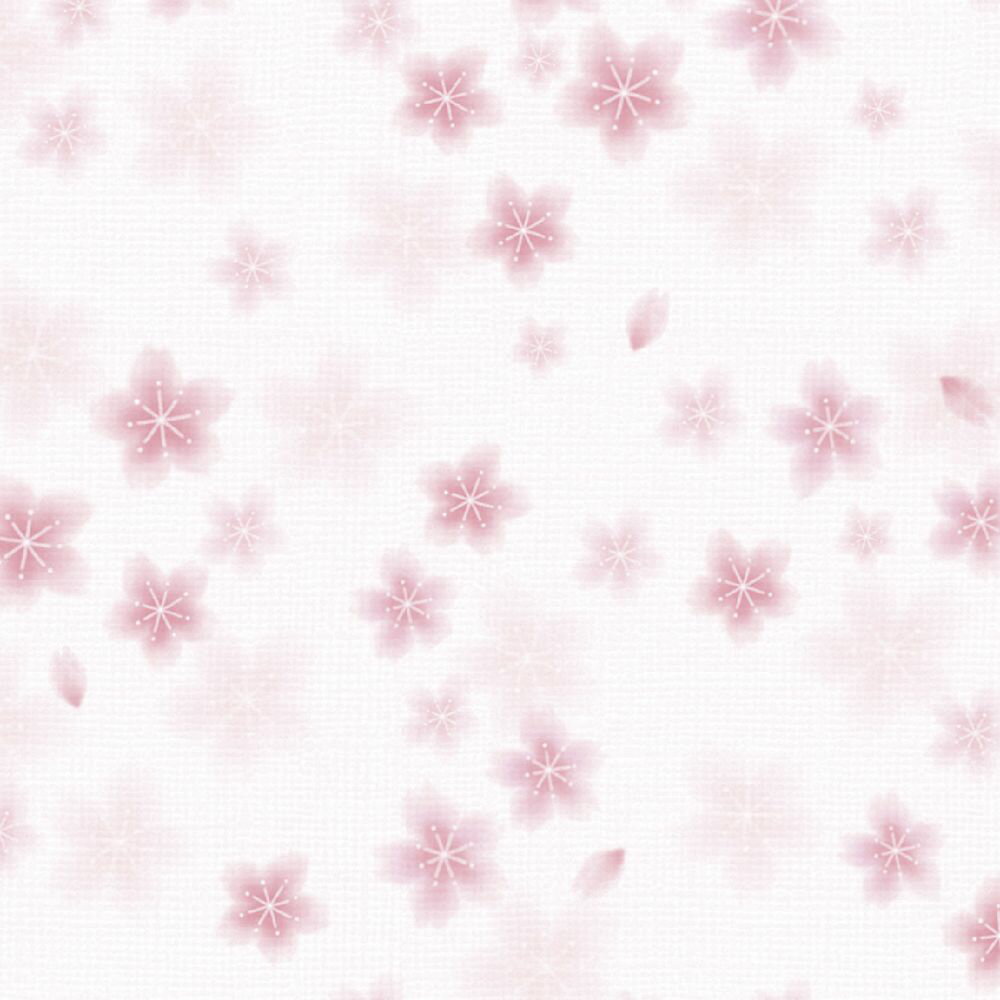    ¤ ȾȽ 50 49-1510 ̳ƻ졦ΥԲġ