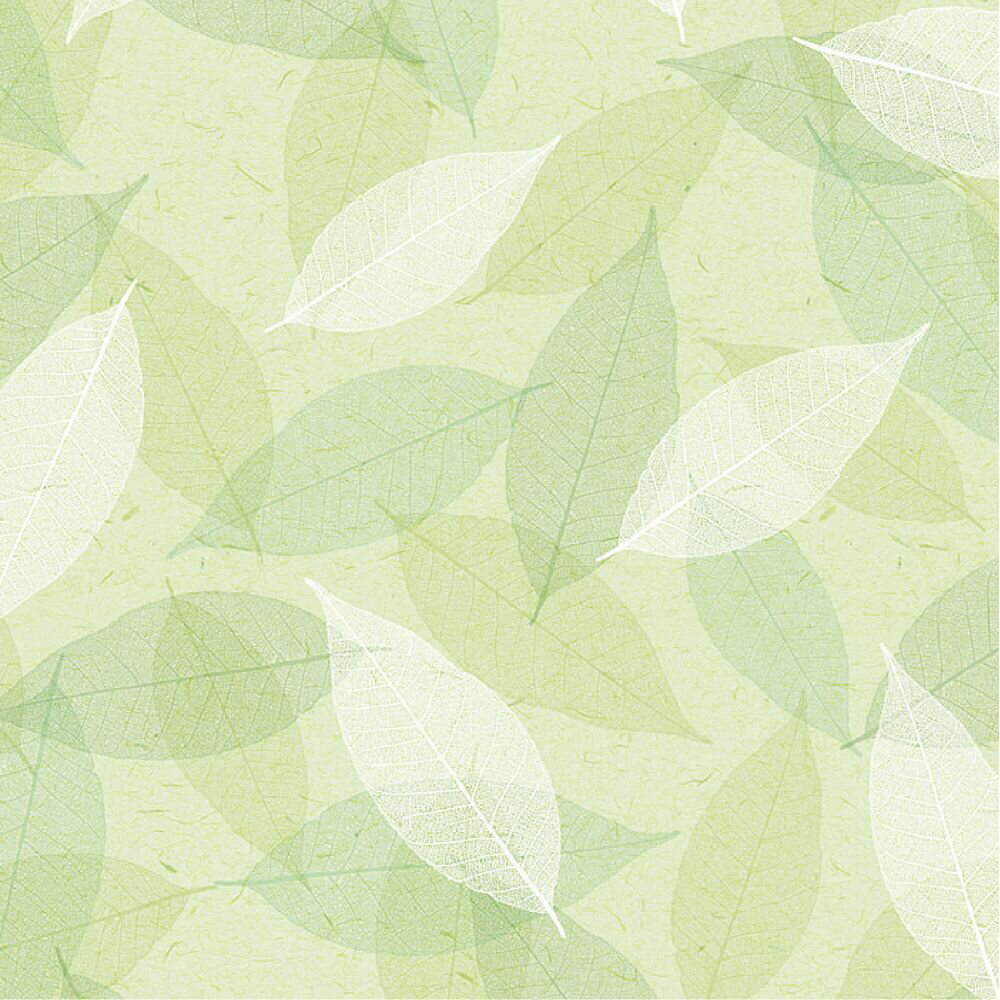 (まとめ買い)ササガワ 包装紙 花柄 シアーリーフ 半才判 50枚入 49-1540 〔×3〕 【北海道・沖縄・離島配送不可】