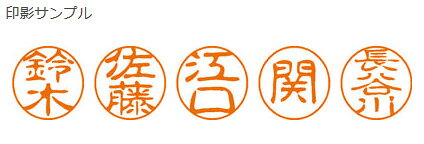 【メール便発送】シヤチハタ ネーム印 ブラック11 既製 0384 碓井 XL-11 0384 ウスイ【代引不可】