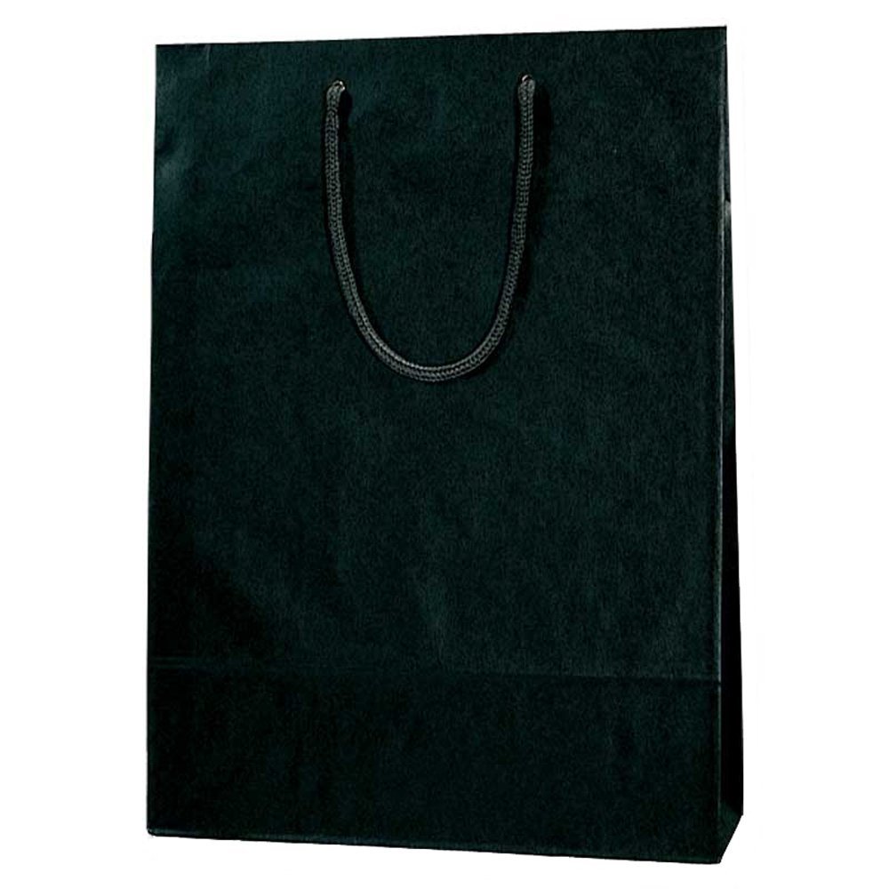 （まとめ買い）ヘイコー 紙袋 手提げ袋 カラーチャームバッグ 2才 33x10x45cm 黒 10枚 5310114 〔×3〕【北海道・沖縄・離島配送不可】