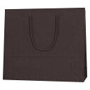 ヘイコー 紙袋 手提げ袋 カラーチャームバッグ 3才 33x10x29cm ブラウン 10枚 5320115【北海道・沖縄・離島配送不可】