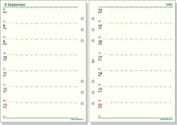 【メール便発送】レイメイ藤井 ダヴィンチ 手帳用リフィル 2020年 A5サイズ 週間-3 見開き両面2週間 DAR2003 【代引不可】