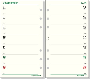 【メール便発送】レイメイ藤井 ダヴィンチ 手帳用リフィル 2020年 聖書サイズ 週間-5 見開き両面2週間 DR2015 【代引不可】