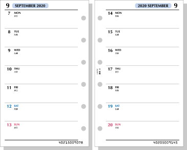 【メール便発送】レイメイ藤井 ラセ 手帳用リフィル 2020年 週間-3 見開き両面2週間 LAR2082 【代引不可】