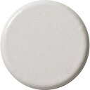 (まとめ買い)ソニック 両面強力カラーマグネット白 直径25mm 10個入 MG-791-W 〔10パックセット〕【北海道・沖縄・離島配送不可】