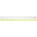 (まとめ買い)ソニック 楽しく学習 直線定規 30cm SN-848 〔10個セット〕【北海道・沖縄・離島配送不可】