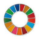 【領収書発行可】 sdgsバッジ ピン留めタイプ 正規品 留め具付き SDGs バッジ 金色丸み仕上げ sdgsバッチ ピンバッチ SDGs 会議 着用義務 イメージアップ 国連ガイドライン対応 バッグにも最適 かわいいピンバッジ (25mmサイズ)