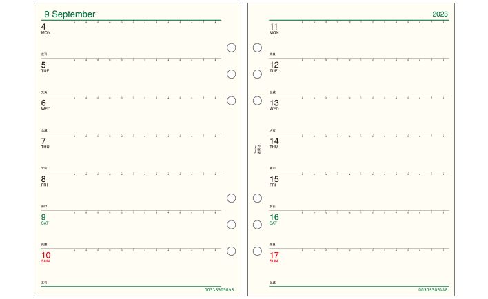【メール便発送】レイメイ藤井 ダヴィンチ 手帳用リフィル 2023年 A5サイズ 週間-3 見開き両面2週間 DAR2303
