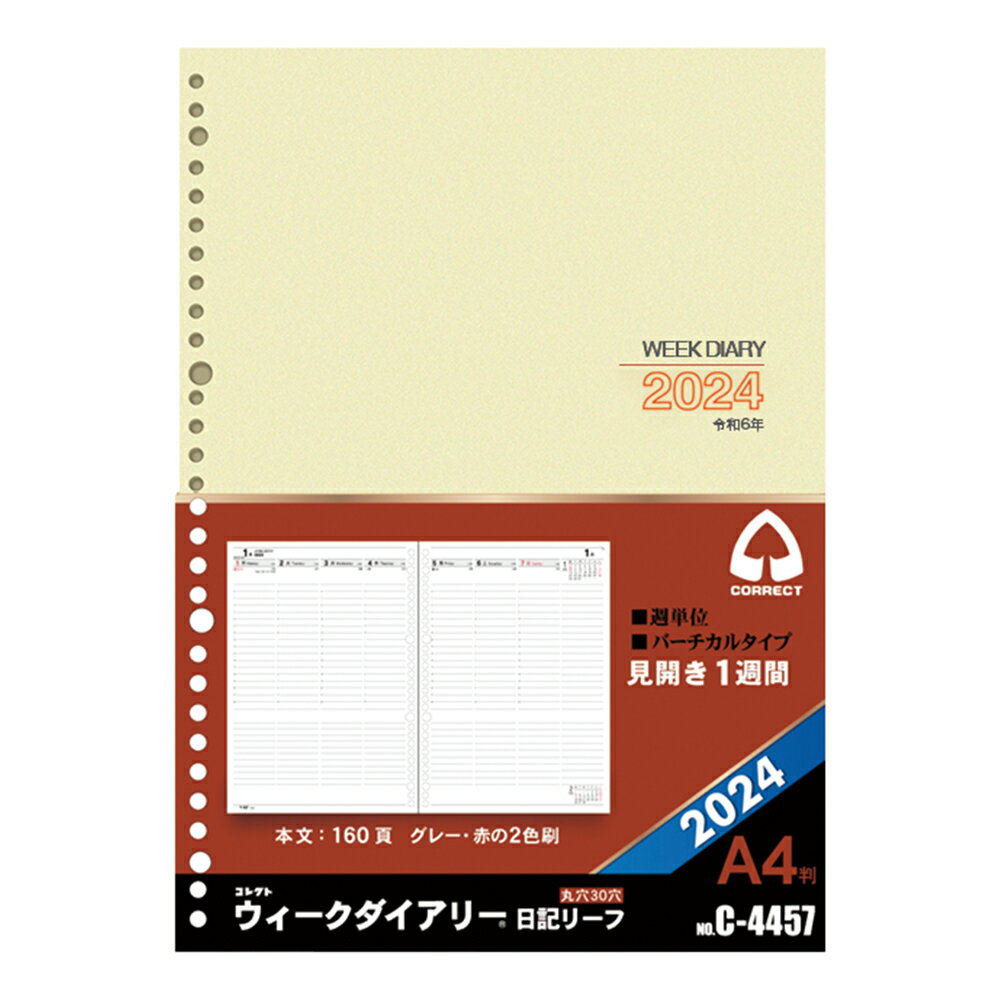 【お買い得品】レイメイ ダヴィンチ システム手帳リフィル mini5サイズ カラーインデックス(4区分) DMR347