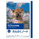 (まとめ買い)キョクトウ 連絡ノート9行 A501 〔10冊セット〕【北海道・沖縄・離島配送不可】