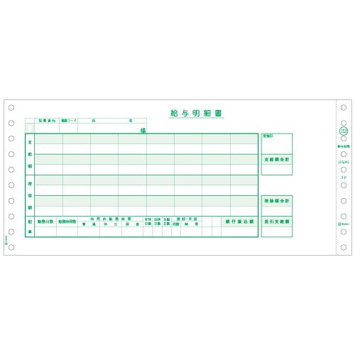 ●11_2/10"×5"（284×127mm）■1,000セット■ミシン目切り離し後のサイズ： 10_7/10"×5"(272×127mm) ■項目名： 1,給与明細書;2,給与明細書;3,給与明細書 ■複写枚数： 3●メーカー品番：SB153●2枚目・3枚目は地紋入りの封筒になっています。（封かんシール付き）●2枚目以降に左ミシン目（1/2″）が入っています。