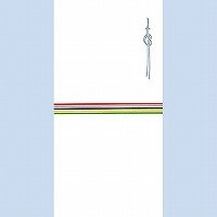 【メール便発送】 菅公工業 千円型 柾のし袋 五色水引 ノ2104 00809277 【代引不可】