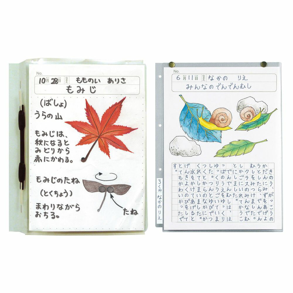 （まとめ買い）アーテック 透明掲示ホルダー A4 2606 〔×10セット〕 [学童文具] 【北海道・沖縄・離島配送不可】