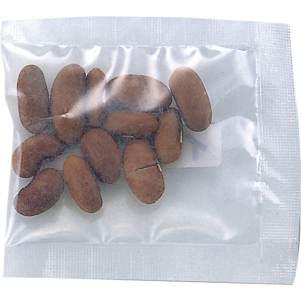 （まとめ買い）アーテック 野菜の種 インゲン豆 2750 〔×10セット〕 [教材用品] 【北海道・沖縄・離島配送不可】