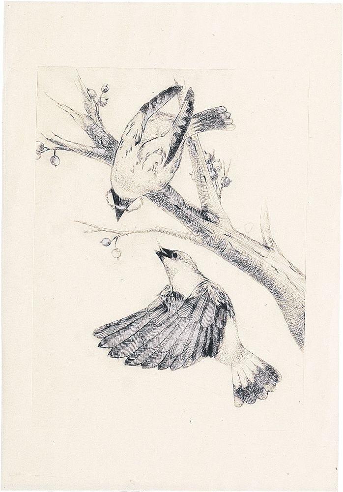 アーテック マットPP板 小(240×180×0.5mm) 20500 [美術・画材用品] 【北海道・沖縄・離島配送不可】