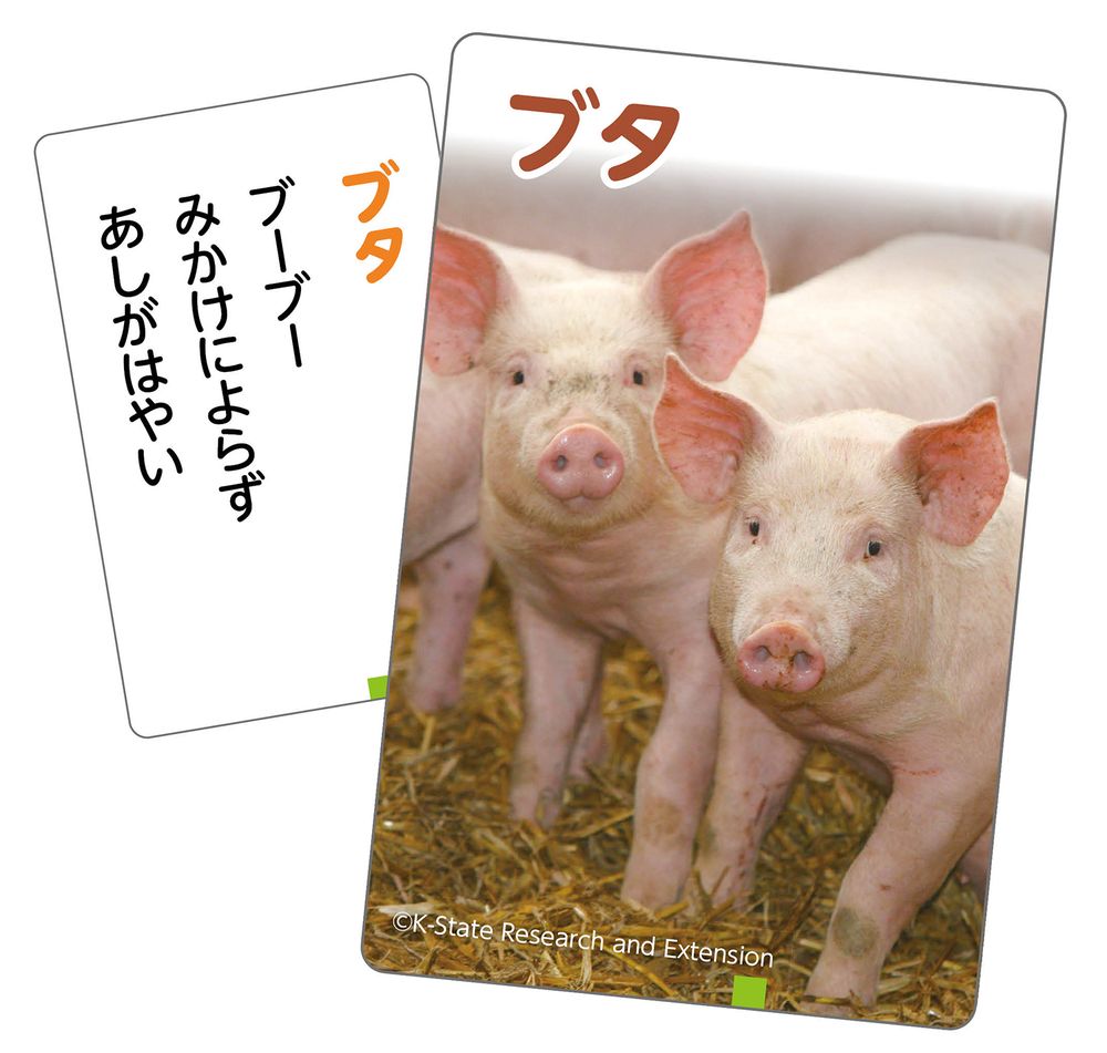 �ʤޤȤ��㤤�˥����ƥå� ����Ϥʤ�β������뤿��������Ρ� 21167 �̡�5���åȡ� [������㡦�ΰ���] ���̳�ƻ�����졦Υ�������Բġ�