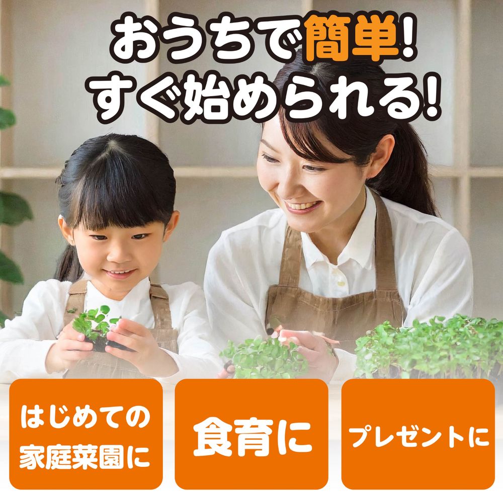 アーテック お家で楽しく栽培キット ベビーリーフ 102932 [科学工作用品] 【北海道...