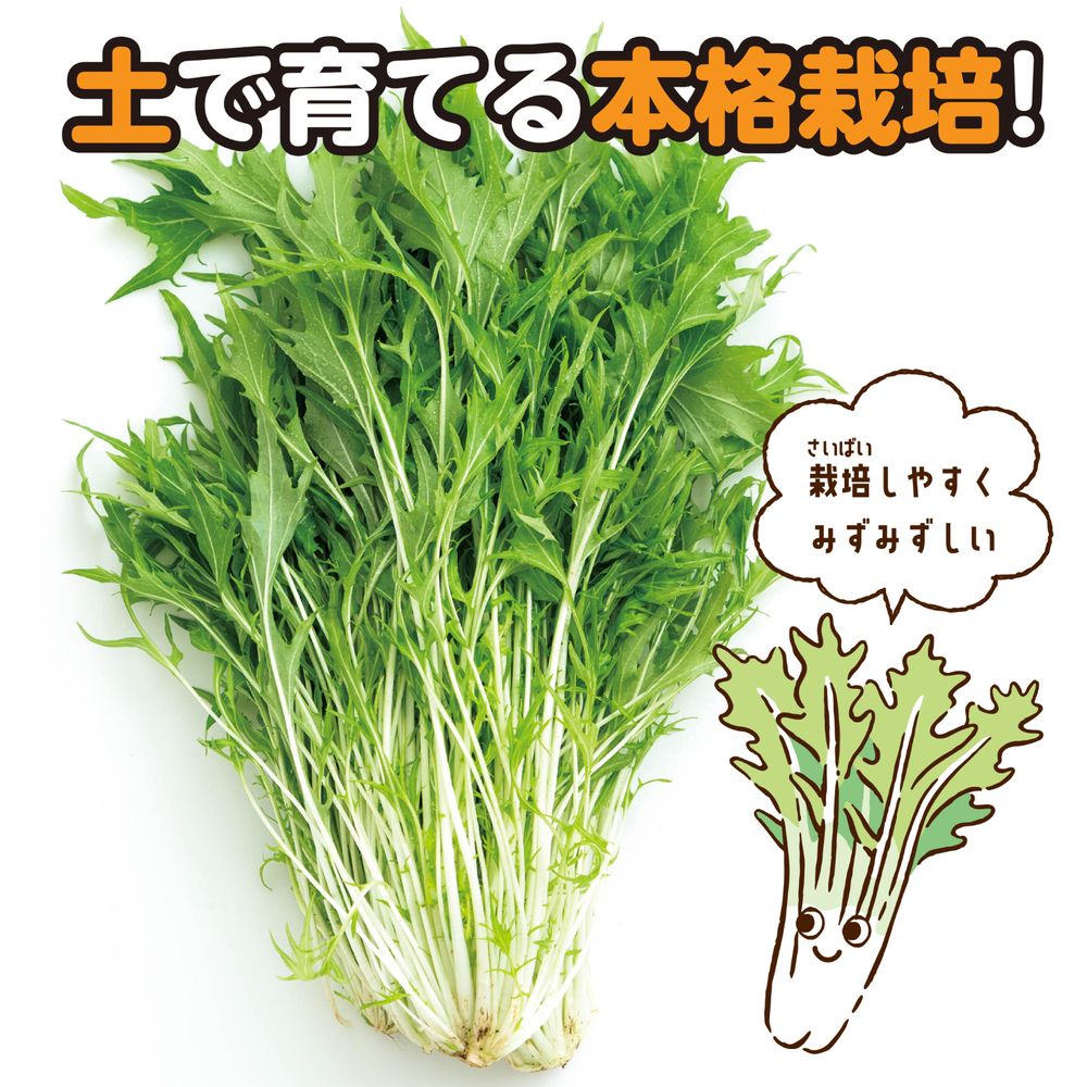 アーテック お家で楽しく栽培キット 水菜 102935 [科学工作用品] 【北海道・沖縄・...