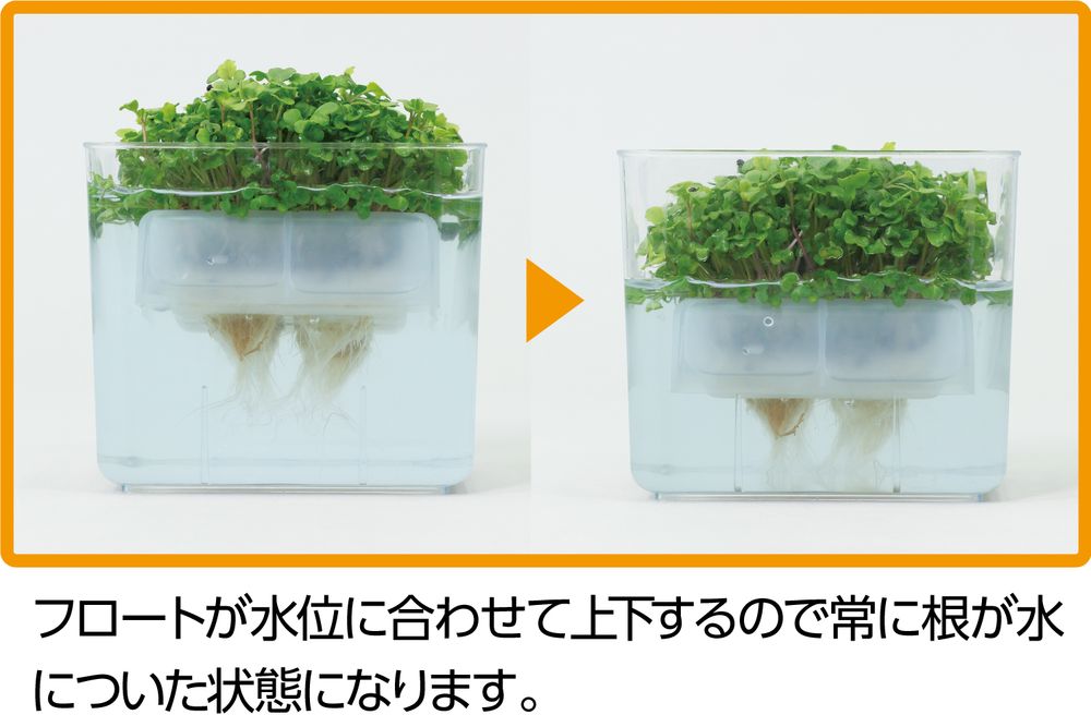 �ʤޤȤ��㤤�˥����ƥå� ��̺��ݥ�˥å� �٥ӡ��꡼�եߥå��� 102966 �̡�3���åȡ� [�ʳع�������] ���̳�ƻ�����졦Υ�������Բġ�