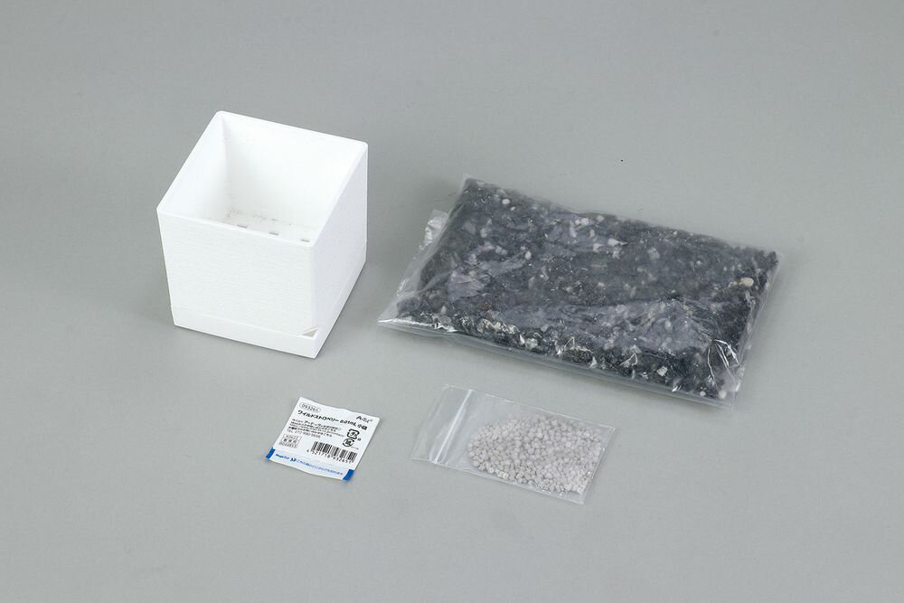 アーテック エコ栽培キット Re:Green ワイルドストロベリー 102973 [科学工作用品]...