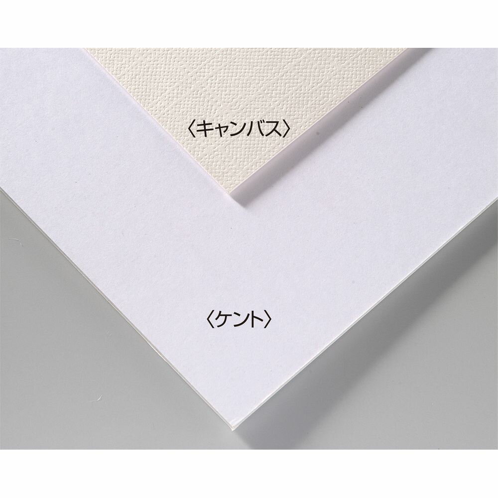 油絵具、アクリル絵具に特に相性がよく、筆やエアブラシによるタッチの表現にも最適このアートボードは、中芯に牛乳パックをリサイクルした再生紙を利用しています。牛乳パックの再生紙は環境保護としてだけでなく、強度、弾力性に富み、劣化が少ない素材です。【詳細】商品サイズ：B4（257×364×1.5mm） キャンバス面/ケント面[ 美術・画材 ]