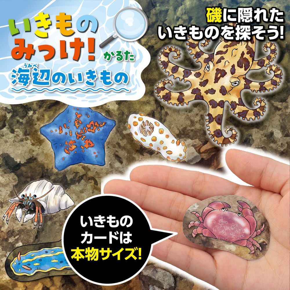 【メール便発送】アーテック いきものみっけ!かるた うみべのいきもの 21657 [おも...