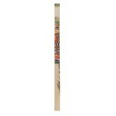 (まとめ買い)アサヒペン EXアイロン貼りふすま紙 2枚入り No.201 山水 95cm×180cm 〔×3〕【北海道・沖縄・離島配送不可】