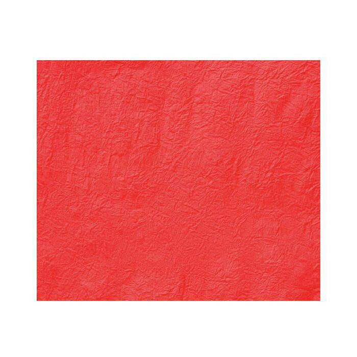 ̱���»��߻桡���礦���礦�� CK101 ���̳�ƻ�����졦Υ�������Բġ�