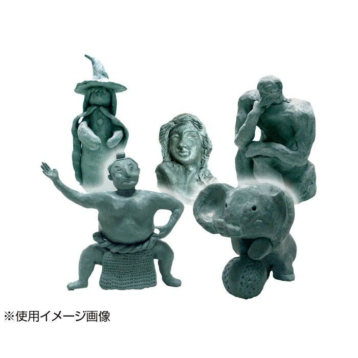 ニューブロンズ粘土　1kg×5セット 【北海道・沖縄・離島配送不可】 2