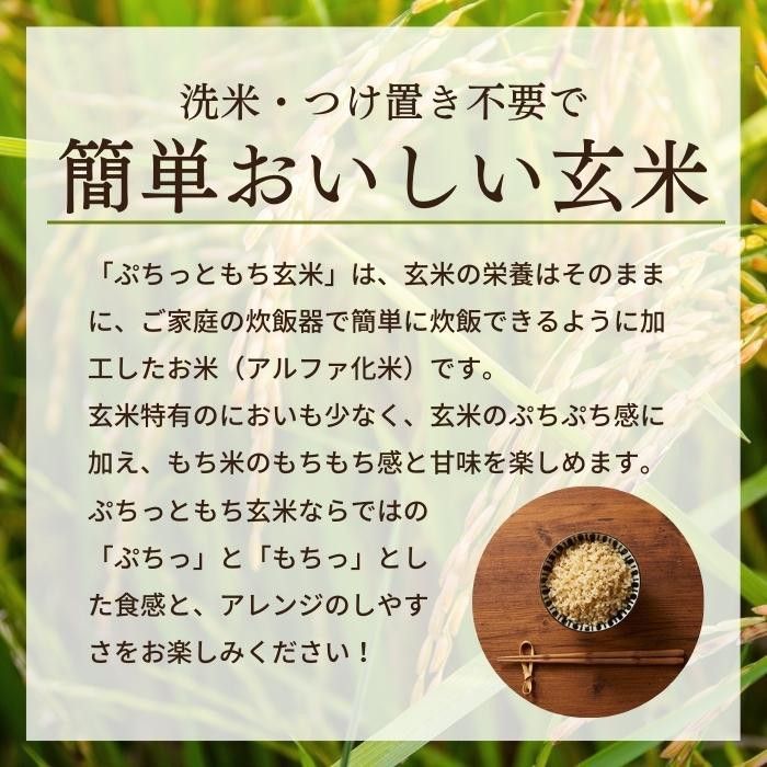 アルファー食品 ぷちっともち玄米(ヴィーガン) 900g 11223562 ×6袋 【北海道・沖縄...