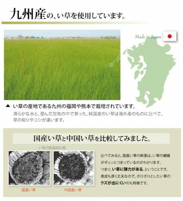 純国産い草 上敷き カーペット 糸引織 「湯沢」 江戸間4.5畳 約261×261cm 1010050012402 【北海道・沖縄・離島配送不可】 [2]