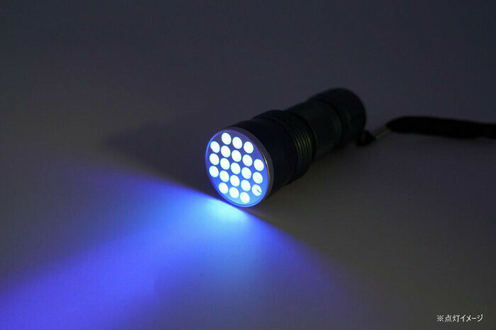 クールビーム 紫外線 UVライト 21 LED KB-38