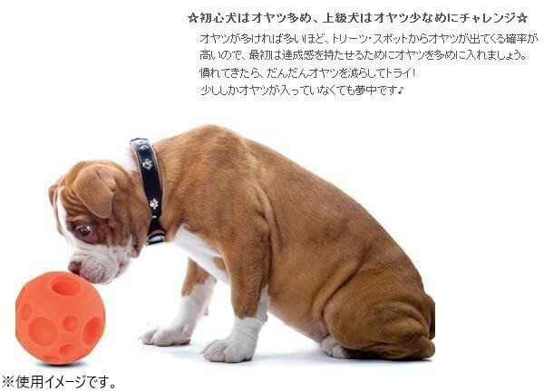 正規輸入品　カナダ　Omega Paw社製 トリッキートリートボール ラージ　TTLG 【北海道・沖縄・離島配送不可】