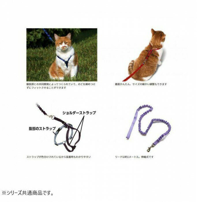 thum2