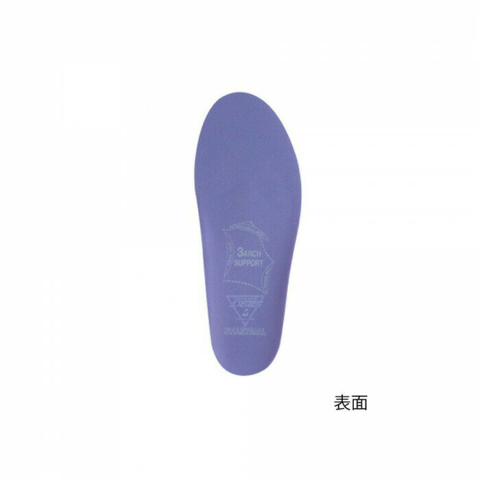 DSIS����ܥХ졼�ܡ��롡2L ���̳�ƻ�����졦Υ�������Բġ�