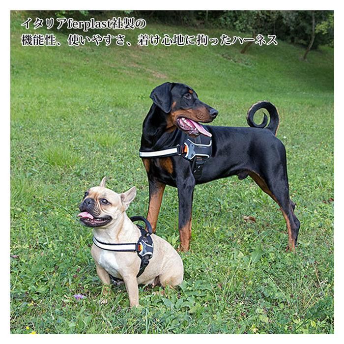 ファープラスト ヘラクレス 犬用ハーネス M レッド 75468322