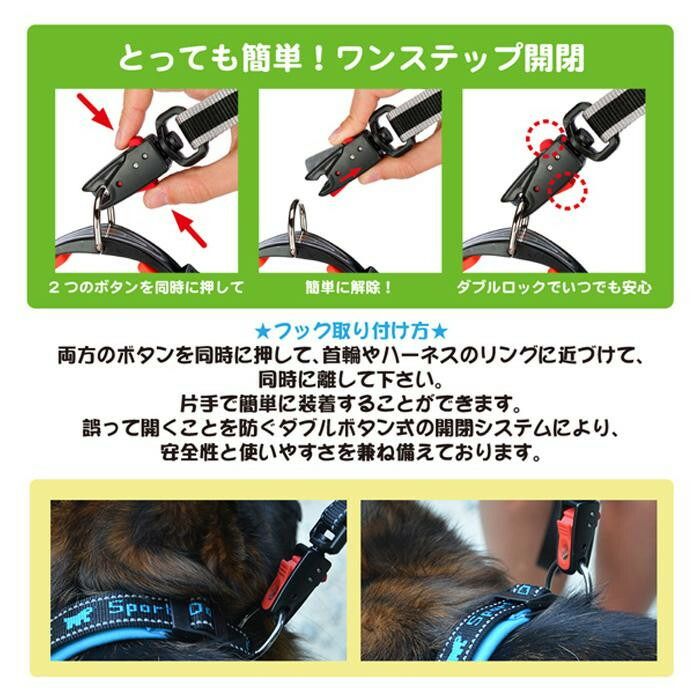 ファープラスト デイトナ ガミー MATIC G15/120 犬用リード レッド 77180017