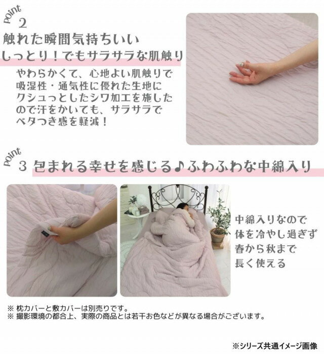 �졼���Ҥ��ꥱ�åȡ����֥롡�ԥ����������꡼��SN-37-300-52 ���̳�ƻ�����졦Υ�������Բġ�