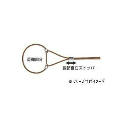 サンプル画像2