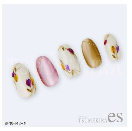 TSUMEKIRA(ツメキラ) ネイルシール es MOMOプロデュース Flower bouquet fresh mini ES-MOM-008 fujix-12359671 フジックス サンプル画像3