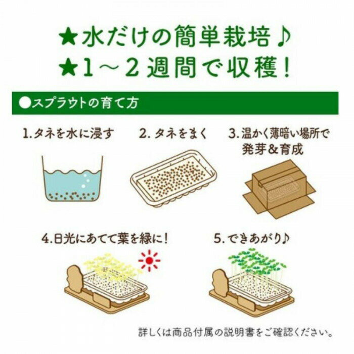 miffy �ߥåե��������ץ饦�Ⱥ��ݥ��åȡ��ޥ������ɥץ饦�ȡ�DB1250C ���̳�ƻ�����졦Υ�������Բġ�