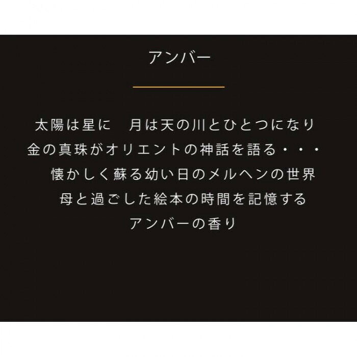 フジックスの日本香堂 ESTEBAN(エステバン) アンバー カーフレグランス 52352｜アングル2