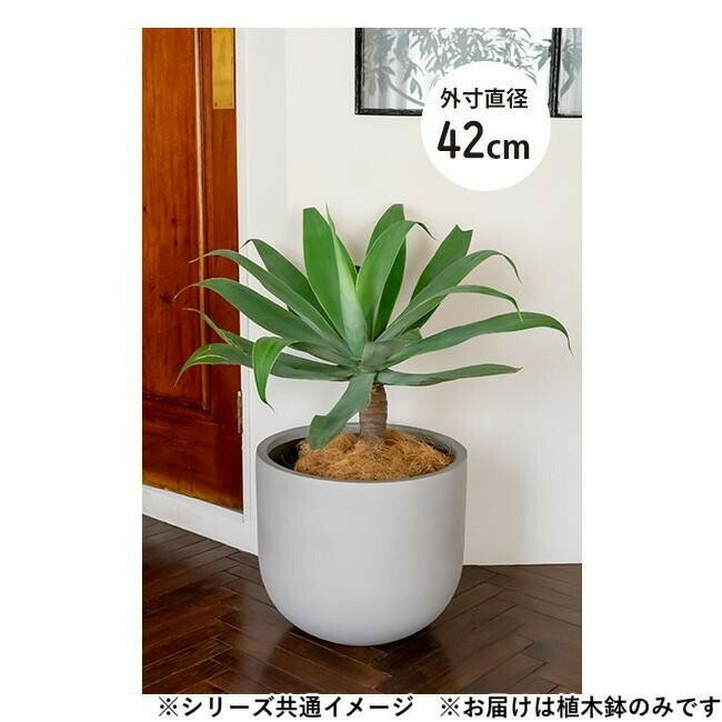 グリーンポット 植木鉢 オプティマス Uポット グレー 42cm AN-PU4237GY 【北海道・...