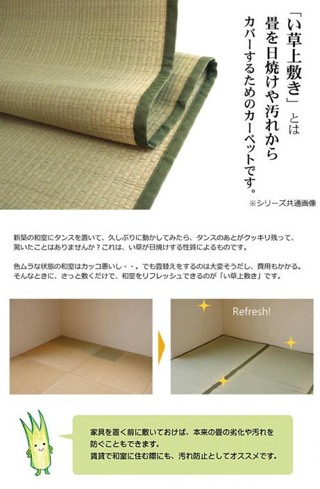 純国産 い草 上敷き カーペット 双目織 『草津』 本間2畳(約191×191cm) 1110682 【北海道・沖縄・離島配送不可】 [2]