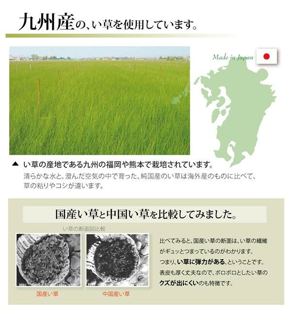 純国産 い草 上敷き カーペット 双目織 『草津』 本間2畳(約191×191cm) 1110682 【北海道・沖縄・離島配送不可】 [3]