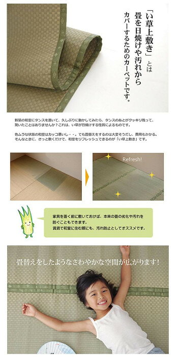 純国産 い草 上敷き カーペット 市松織 『不知火』 江戸間1畳(約88×176cm) 6300131...