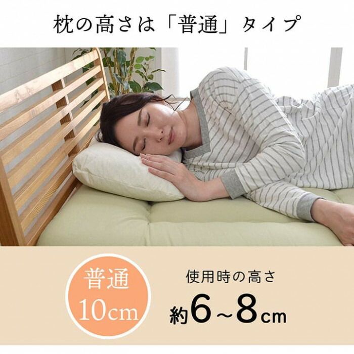 日本製 抗菌 防臭 低反発 もちもち枕 35×50cm 2905709 【北海道・沖縄・離島配送不可】