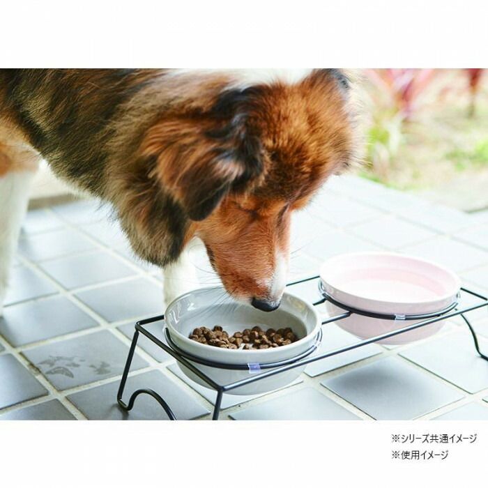 appetit　アペティ　ペット用食器　犬用丸 S ダブルセット GL＆PK　T-922033 【北海道・沖縄・離島配送不可】 3