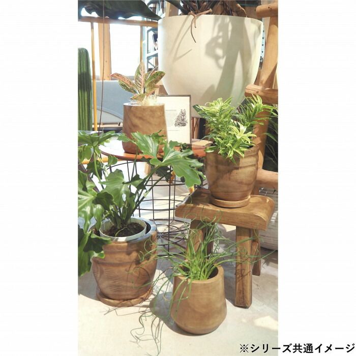 MURATAYA ウッドポット18 5056 【北海道・沖縄・離島配送不可】