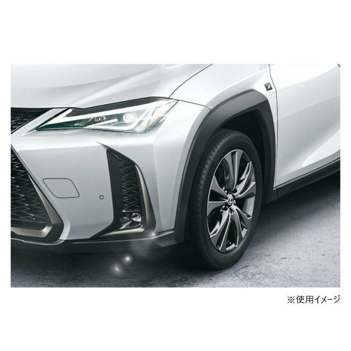 アークス(axs) GraphicRay　ポジション+ライセンスセット GRX-732 【北海道・沖縄...